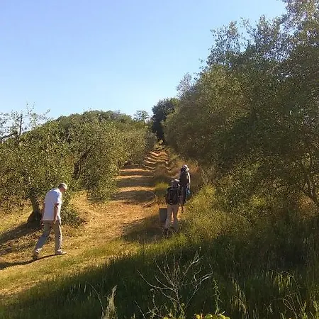 Nobile Family Cortona