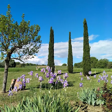 B&B Nobile Family 4*